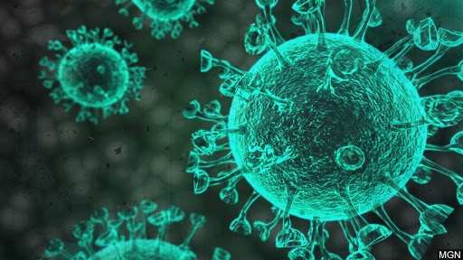 la leche materba tiene antucuerpos contra el covid19